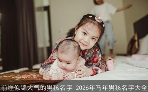 前程似锦大气的男孩名字 2026年马年男孩名字大全