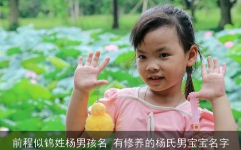 前程似锦姓杨男孩名 有修养的杨氏男宝宝名字