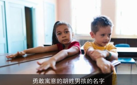 勇敢寓意的胡姓男孩的名字