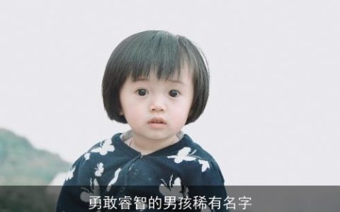 勇敢睿智的男孩稀有名字