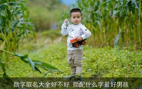 勋字取名大全好不好 勋配什么字最好男孩