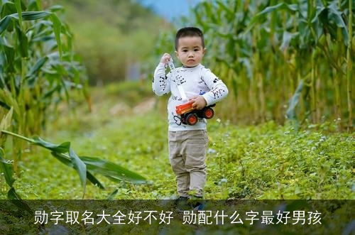 勋字取名大全好不好 勋配什么字最好男孩