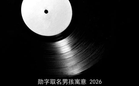 勋字取名男孩寓意 2026