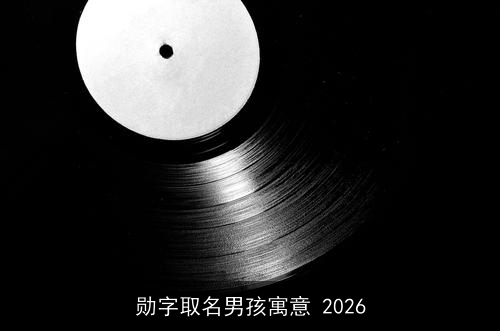 勋字取名男孩寓意 2026