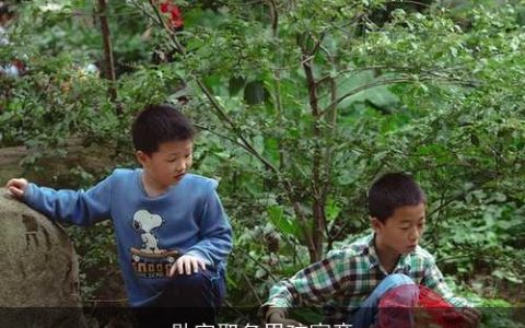 勋字取名男孩寓意