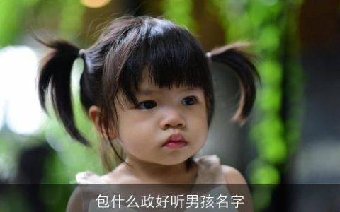 包什么政好听男孩名字