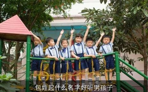 包姓起什么名字好听男孩子