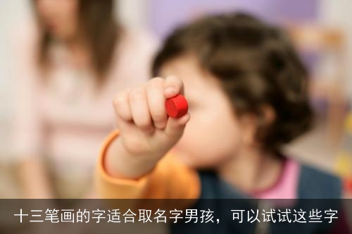 十三笔画的字适合取名字男孩，可以试试这些字
