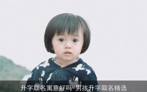 升字取名寓意好吗 男孩升字取名精选