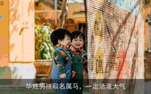 华姓男孩取名属马，一定活泼大气