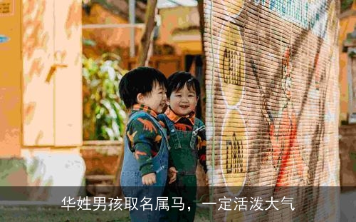 华姓男孩取名属马，一定活泼大气