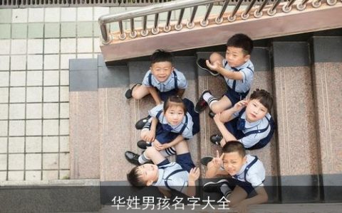 华姓男孩名字大全