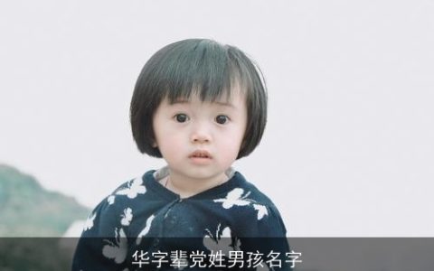 华字辈党姓男孩名字