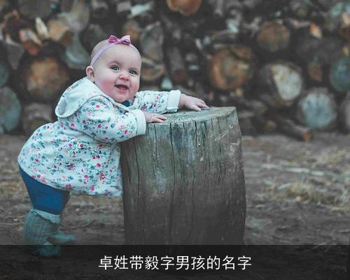 卓姓带毅字男孩的名字