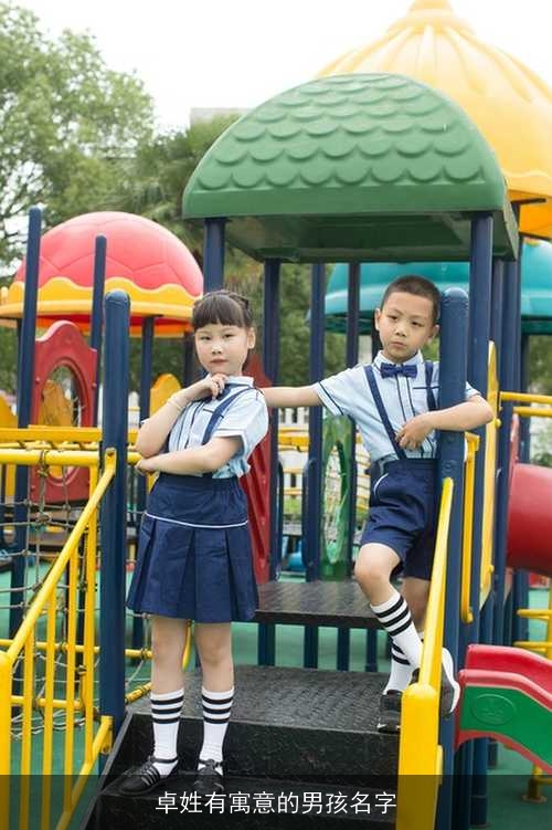 卓姓有寓意的男孩名字