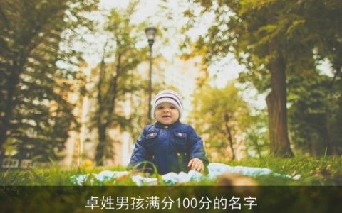 卓姓男孩满分100分的名字