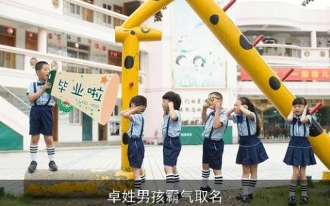 卓姓男孩霸气取名