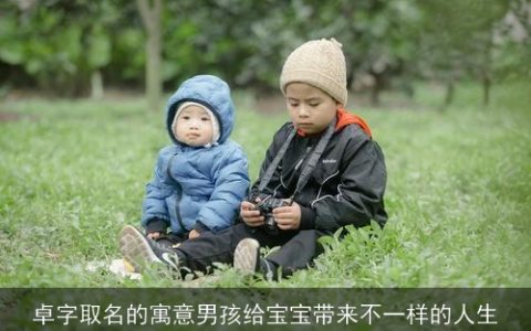 卓字取名的寓意男孩给宝宝带来不一样的人生
