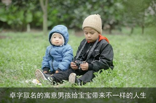 卓字取名的寓意男孩给宝宝带来不一样的人生
