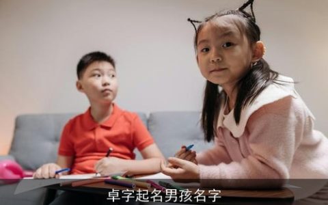 卓字起名男孩名字