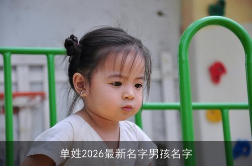 单姓2026最新名字男孩名字