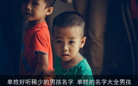 单姓好听稀少的男孩名字 单姓的名字大全男孩