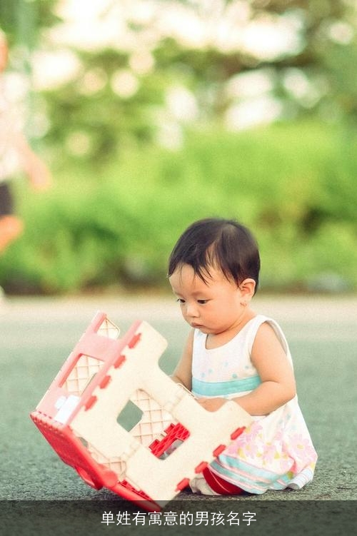 单姓有寓意的男孩名字