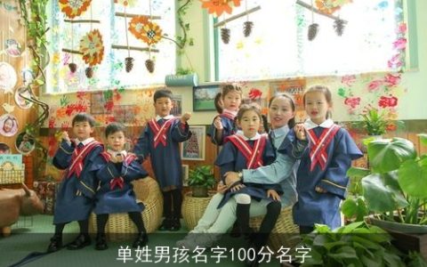 单姓男孩名字100分名字