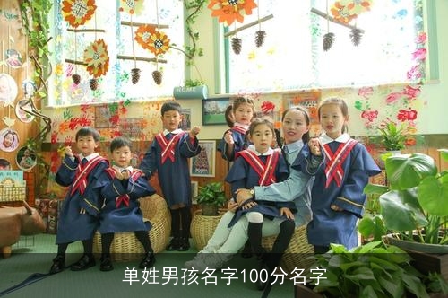 单姓男孩名字100分名字