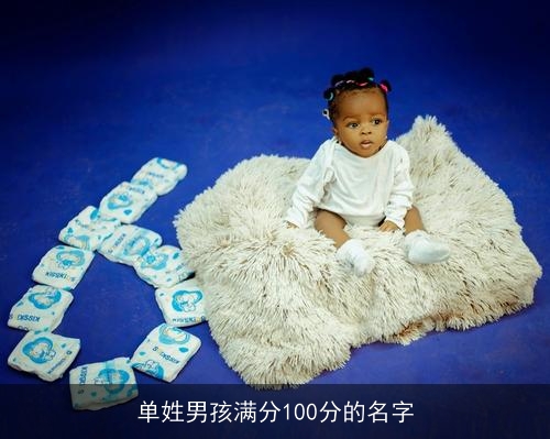 单姓男孩满分100分的名字