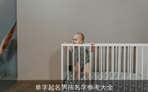 单字起名男孩名字参考大全