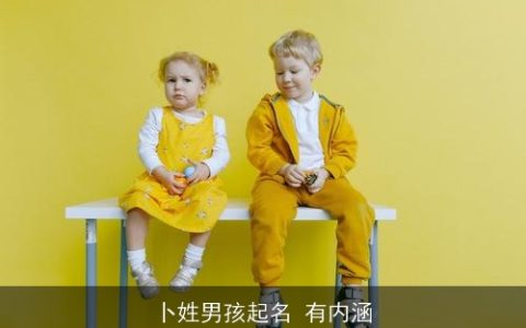 卜姓男孩起名 有内涵