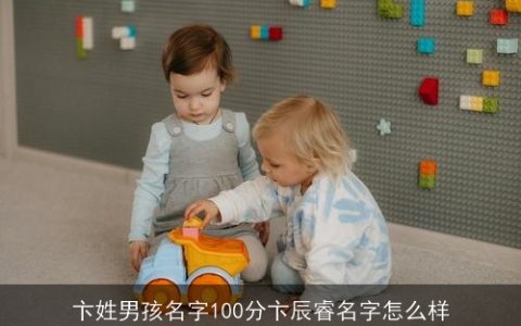 卞姓男孩名字100分卞辰睿名字怎么样