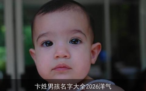 卞姓男孩名字大全2026洋气