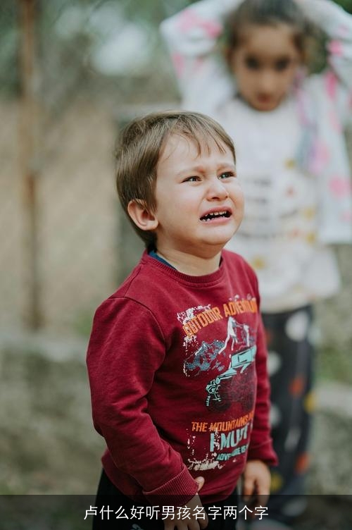 卢什么好听男孩名字两个字