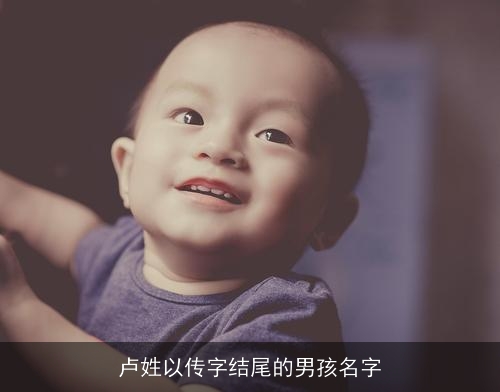 卢姓以传字结尾的男孩名字