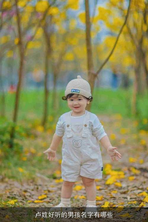 卢姓好听的男孩名字有哪些