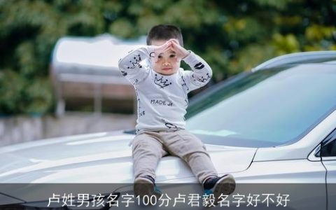 卢姓男孩名字100分卢君毅名字好不好