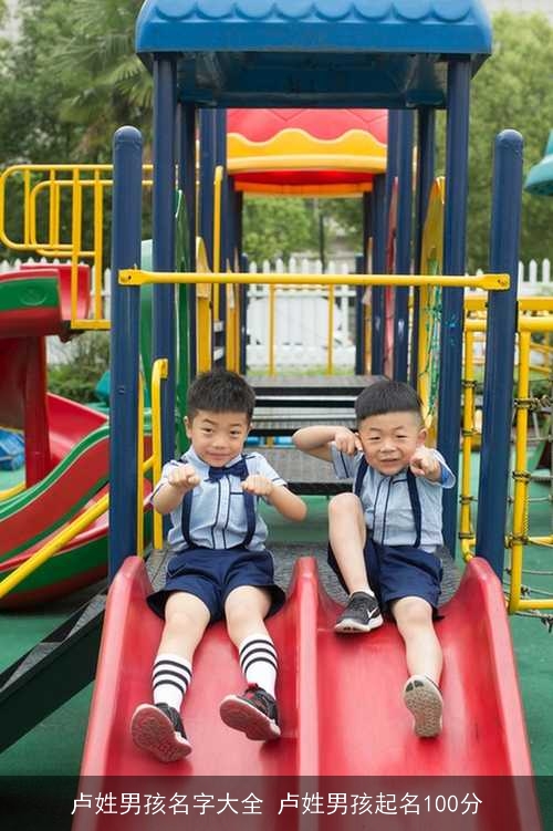 卢姓男孩名字大全 卢姓男孩起名100分