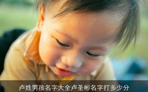 卢姓男孩名字大全卢圣彬名字打多少分