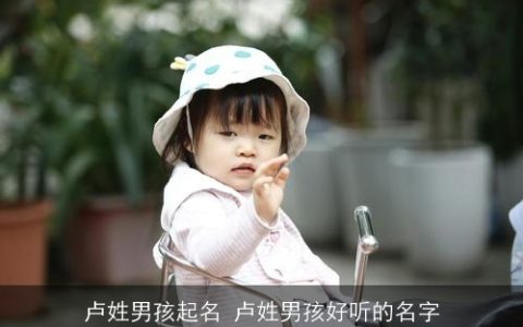 卢姓男孩起名 卢姓男孩好听的名字