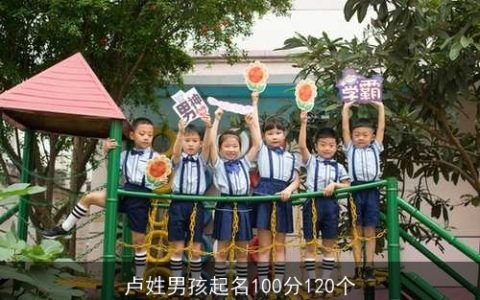 卢姓男孩起名100分120个