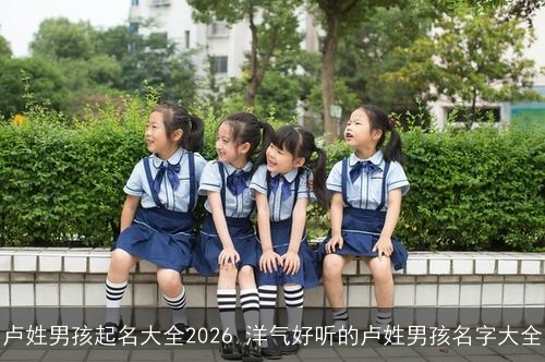 卢姓男孩起名大全2026 洋气好听的卢姓男孩名字大全