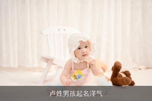 卢姓男孩起名洋气