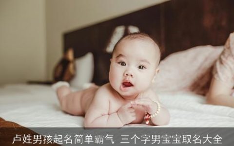 卢姓男孩起名简单霸气 三个字男宝宝取名大全