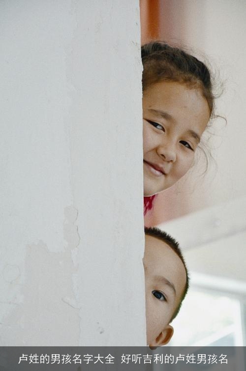 卢姓的男孩名字大全 好听吉利的卢姓男孩名