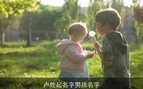 卢姓起名字男孩名字