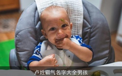 卢姓霸气名字大全男孩