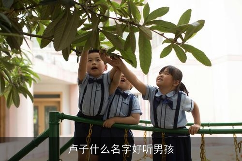 卢子什么名字好听男孩