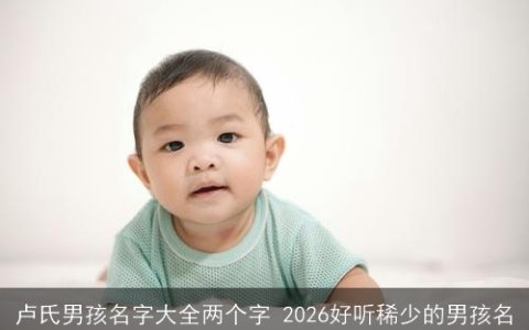 卢氏男孩名字大全两个字 2026好听稀少的男孩名